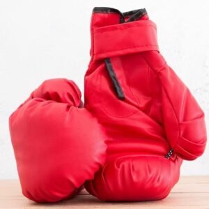 Customized Boxing Gloves